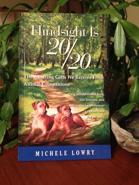 Hindsight is 20/20 – The Amazing Gifts We Receive from Animal Companions